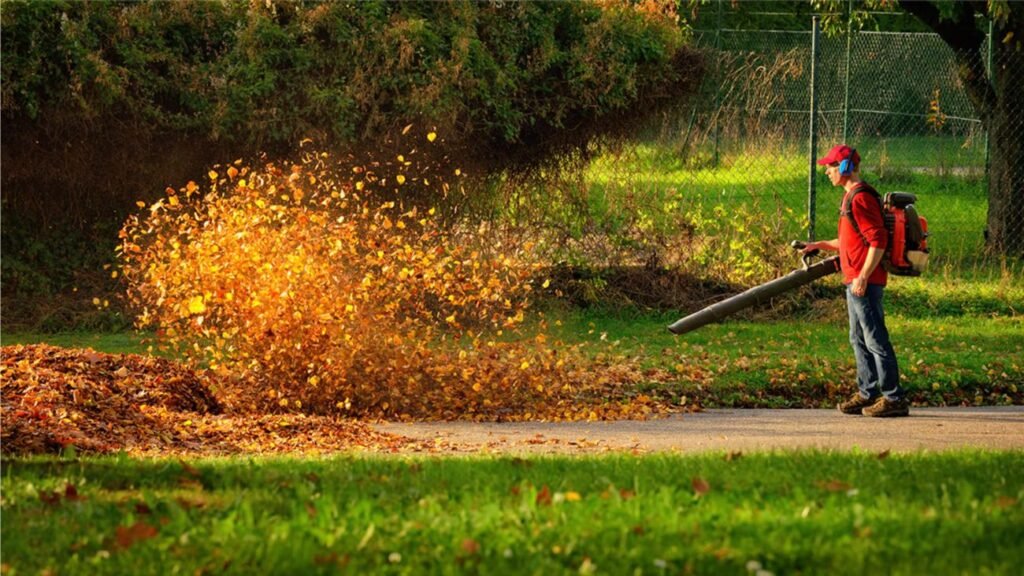 Soplador de hojas económico en uso para limpiar hojas caídas en un jardín durante el otoño