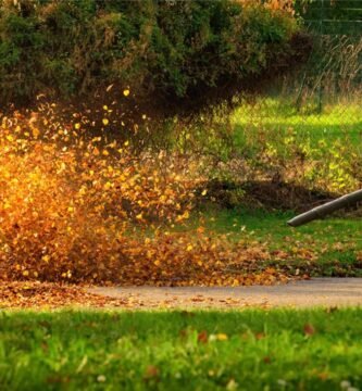 Soplador de hojas económico en uso para limpiar hojas caídas en un jardín durante el otoño