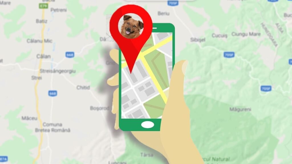 Mapa del localizador GPS para mascotas